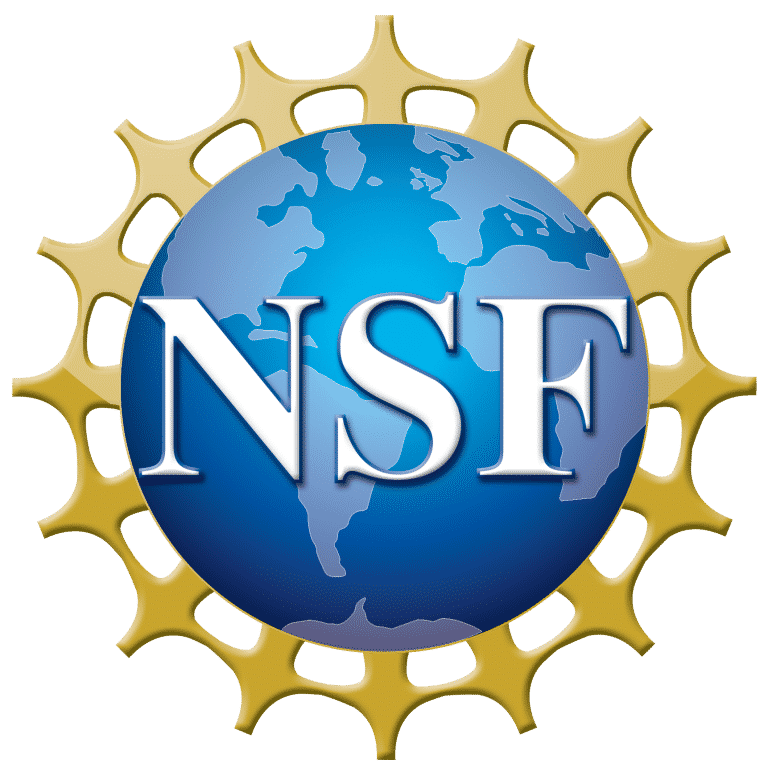 NSF Logo