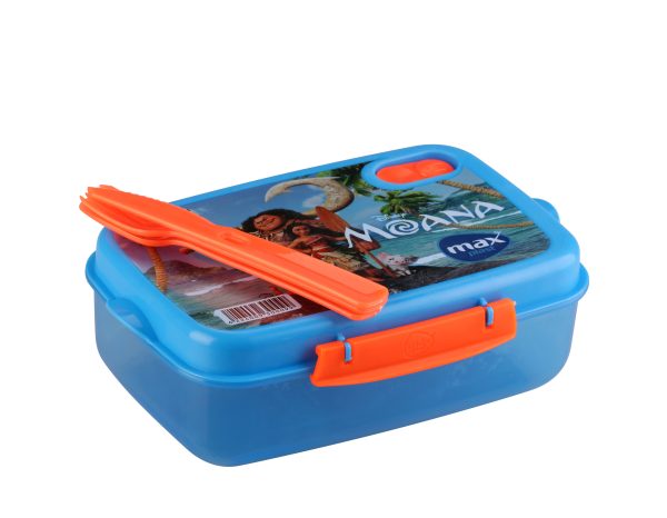 Fresh box lunch box